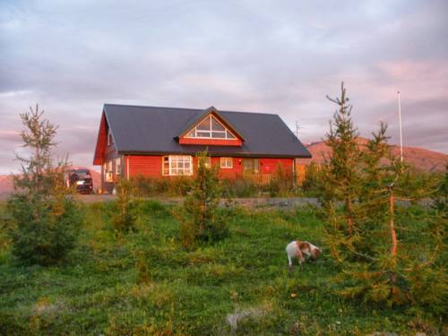 Asgardur Island Rabattcode Booking.com