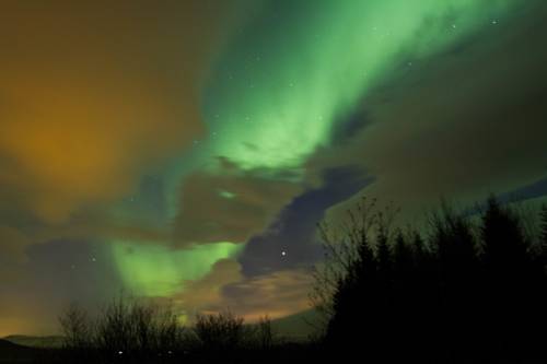 Selfoss Iceland Promo Code Booking.com