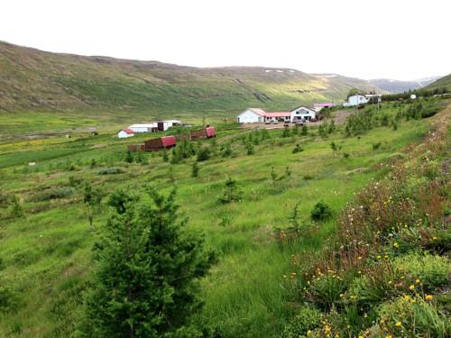 Mjoifjordur Island Rabattcode Booking.com